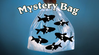 Bag of Schooling Fish